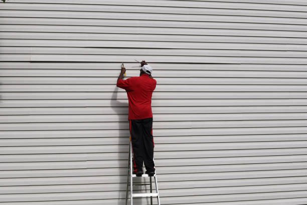 Best Steel Siding Installation  in USA